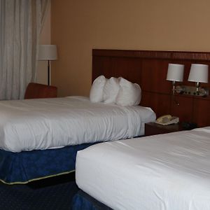 Studio Suite Two Double Beds Non-Smoking